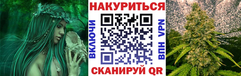 Конопля MAZAR  Отрадный 